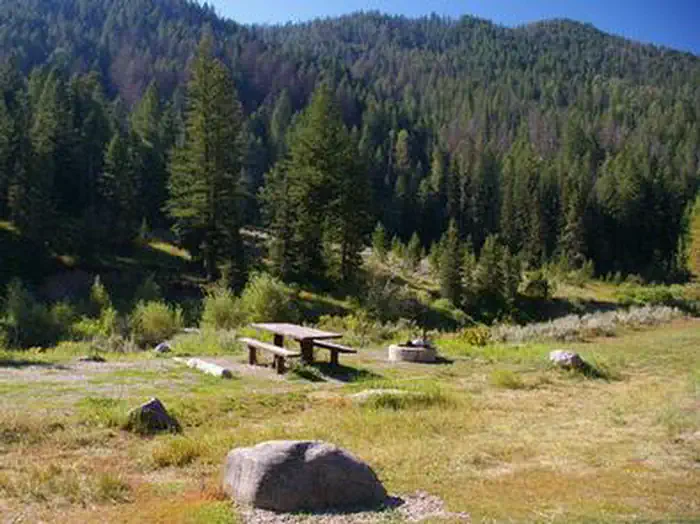 BIG ELK photo 5