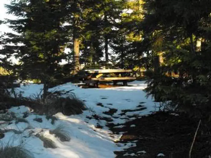 BIG LAKE WEST CAMPGROUND photo 2