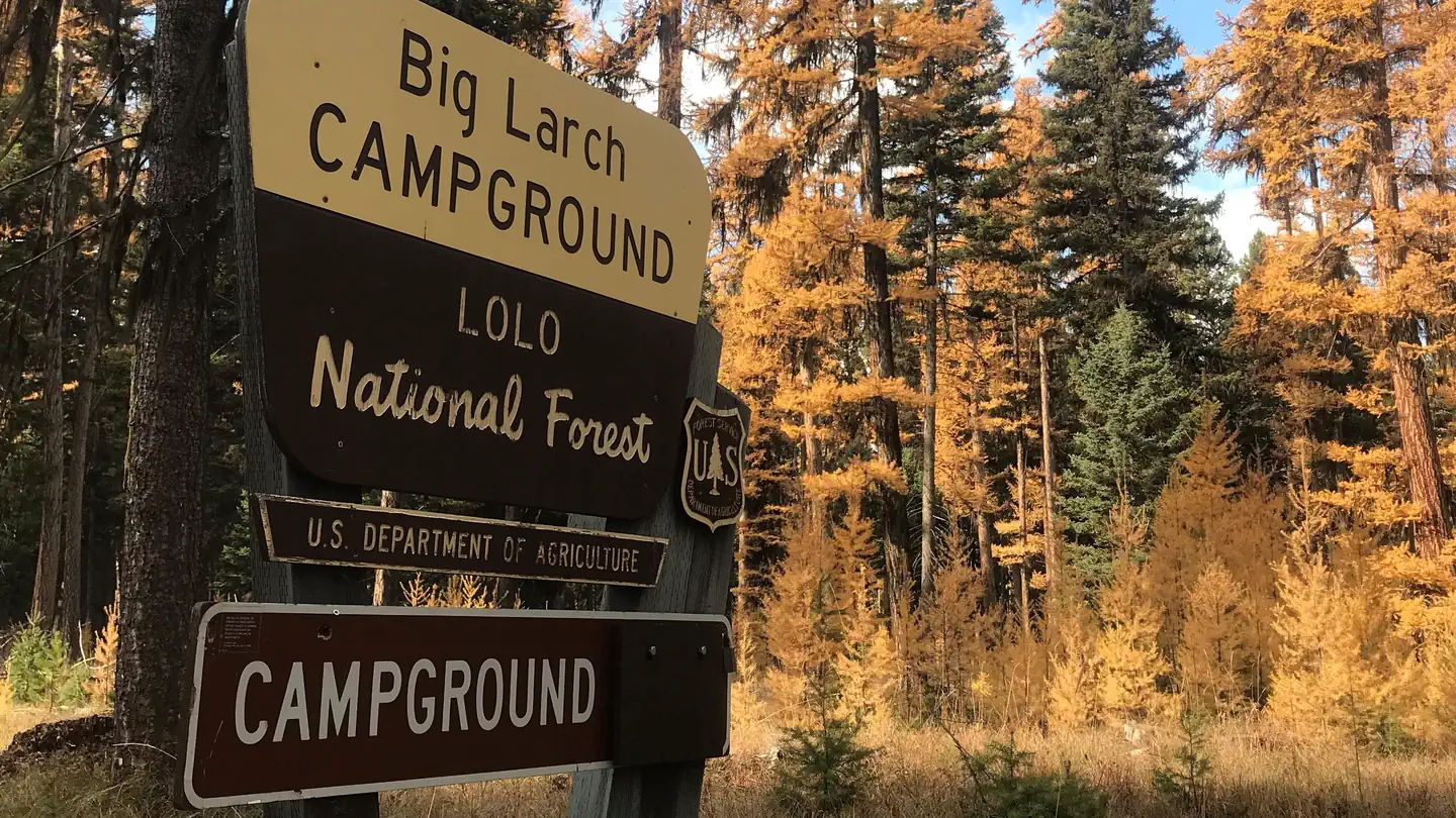 BIG LARCH CAMPGROUND photo