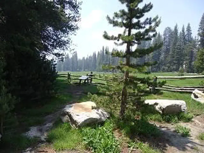 Big Meadow Campground - US Forest Service Sequoia National Forest (CA) photo 3