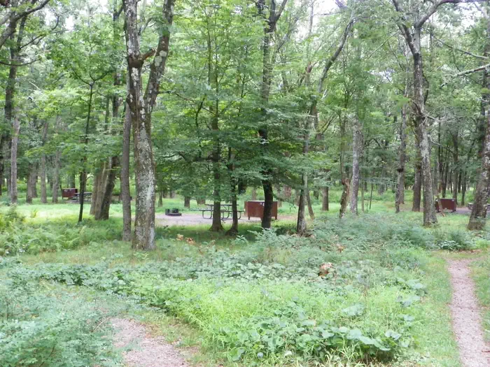 Big Meadows Campground - Shenandoah (VA) photo 5