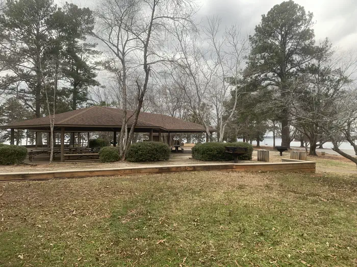 BIG OAKS photo 3