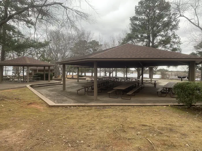 BIG OAKS photo 4