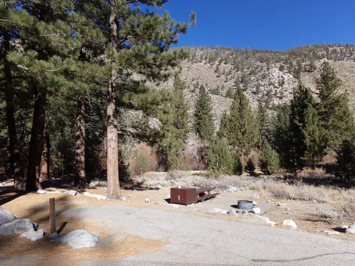BIG PINE CREEK CAMPGROUND photo 3