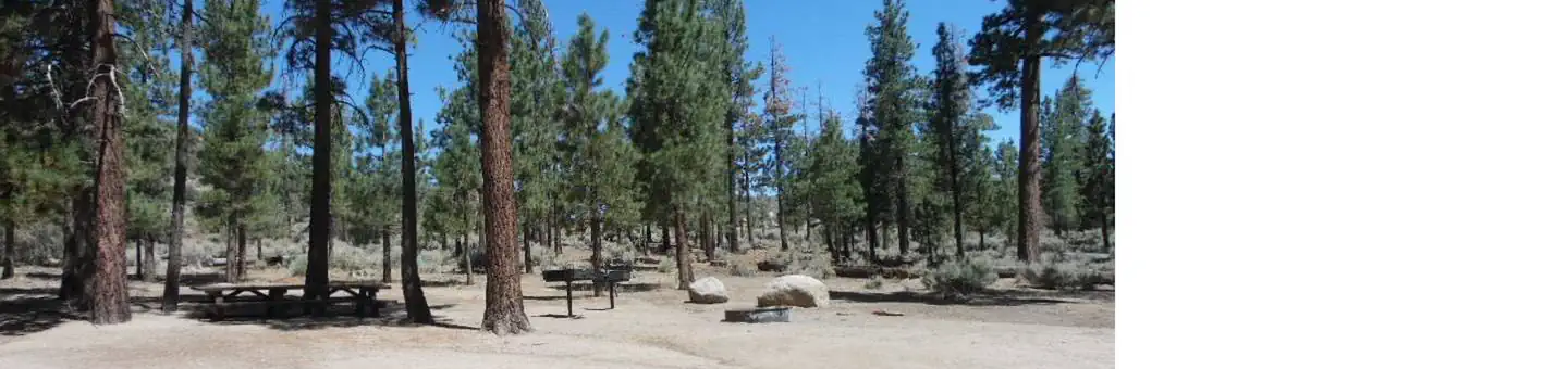 Big Pine Equestrian Group Campground photo