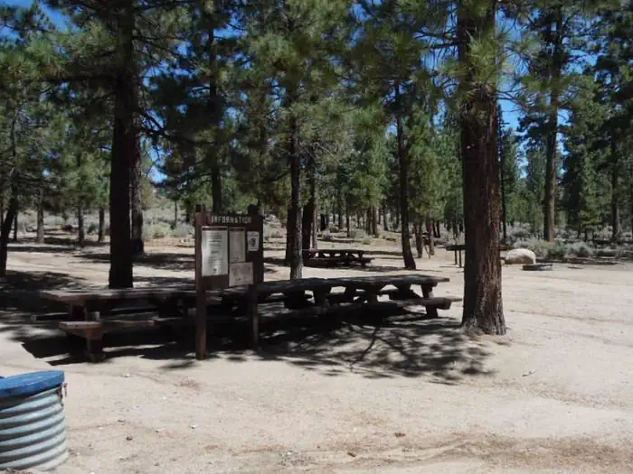 Big Pine Equestrian Group Campground photo 4