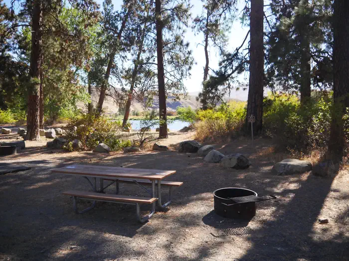 Big Pines photo 3