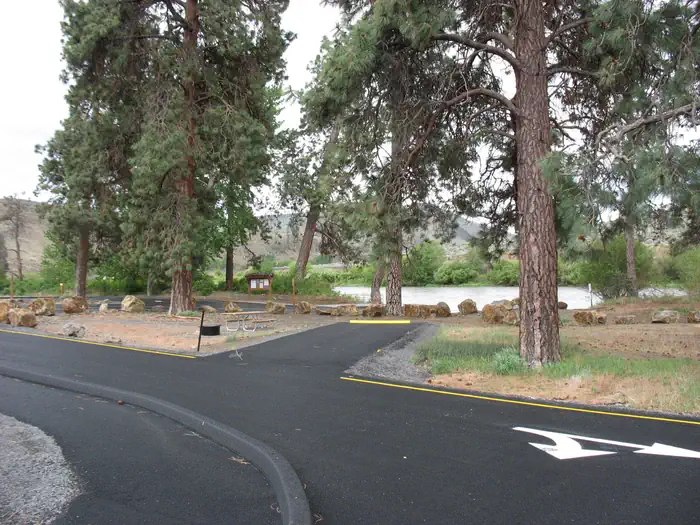 Big Pines photo 5