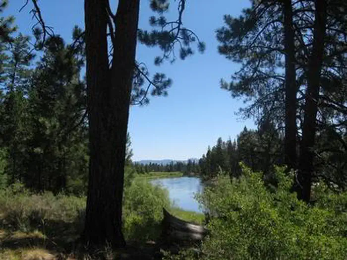 BIG RIVER photo 4