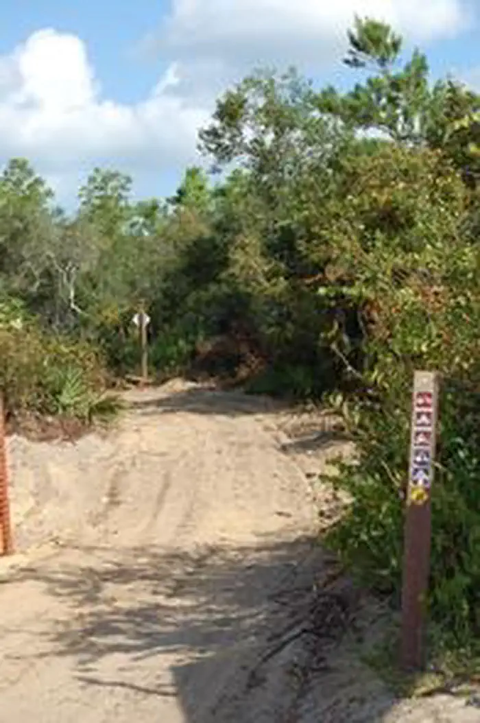 BIG SCRUB CAMPGROUND photo 3