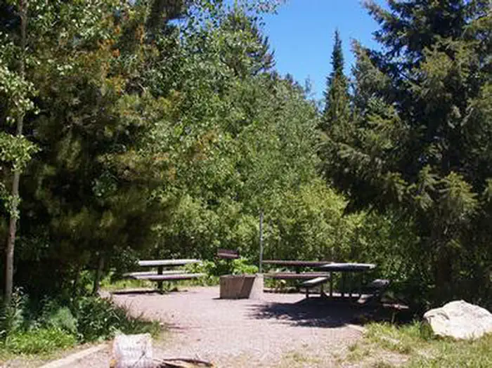 BIG SPRINGS - CARIBOU photo 2