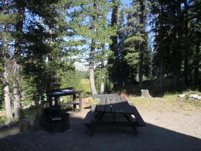 BIG TRINITY CABIN photo 4