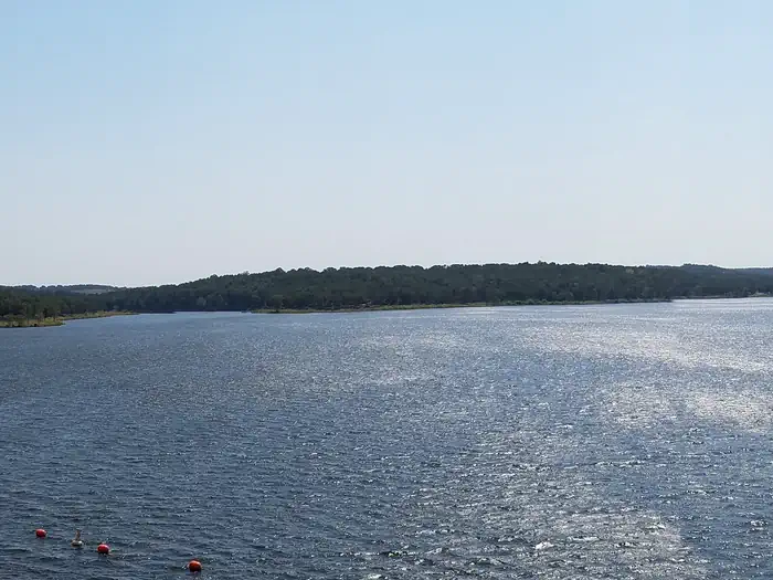 BIRCH COVE photo 3