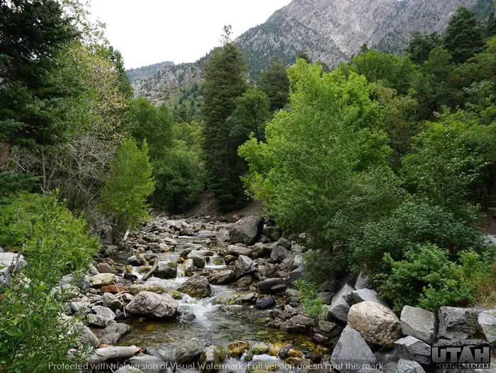 Birches Picnic Area photo 2