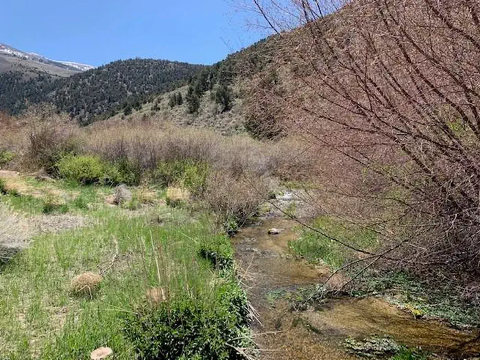 Bird Creek Campground photo 3