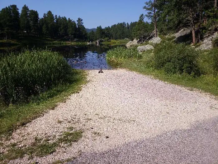 Bismark Lake photo 4