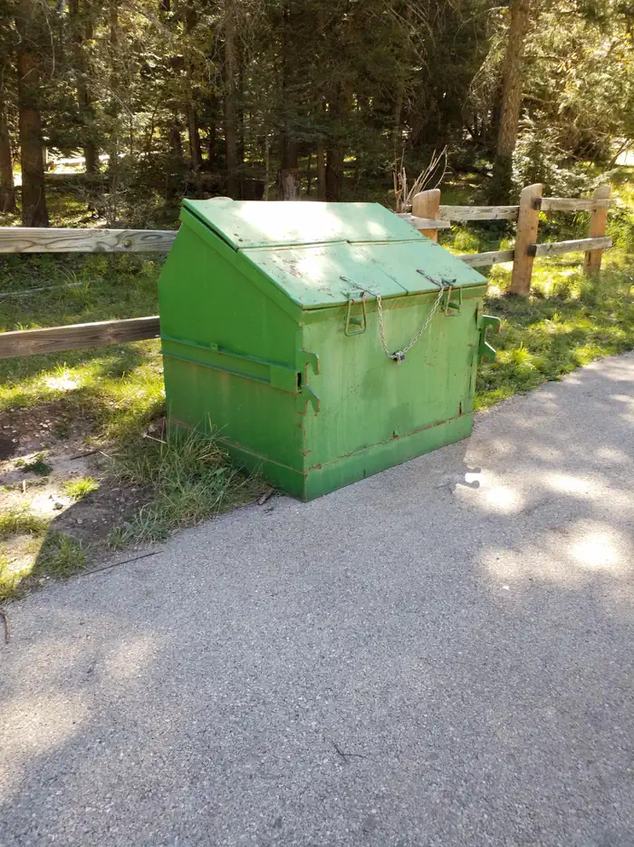 BLACK BEAR GROUP AREA photo 3