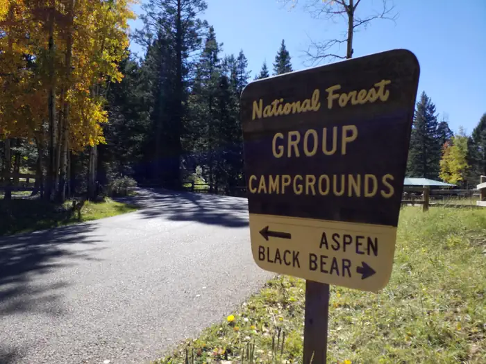BLACK BEAR GROUP AREA photo 4
