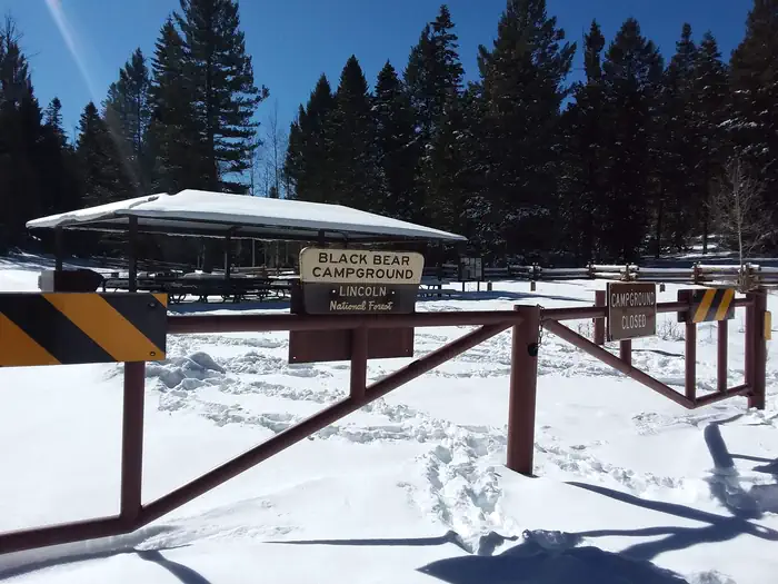 BLACK BEAR GROUP AREA photo 5
