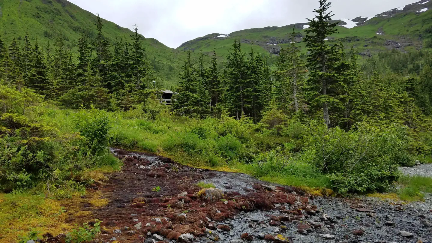 Black Bear Lake Cabin (Tongass National Forest, AK) photo 2