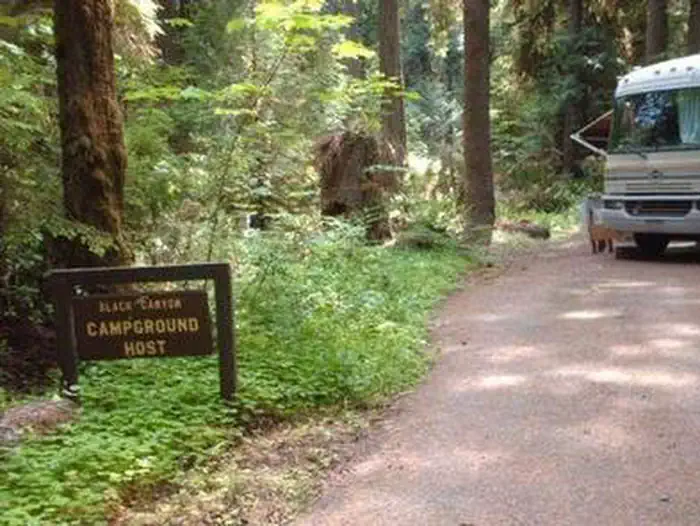 Black Canyon Campground (Willamette National Forest, OR) photo 2