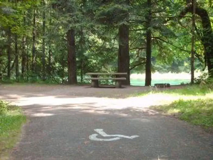 Black Canyon Campground (Willamette National Forest, OR) photo 4