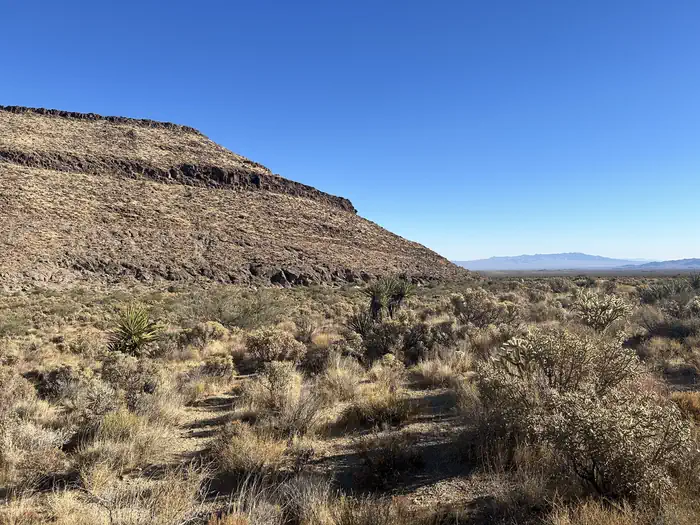 Black Canyon Group and Equestrian Campground photo 5