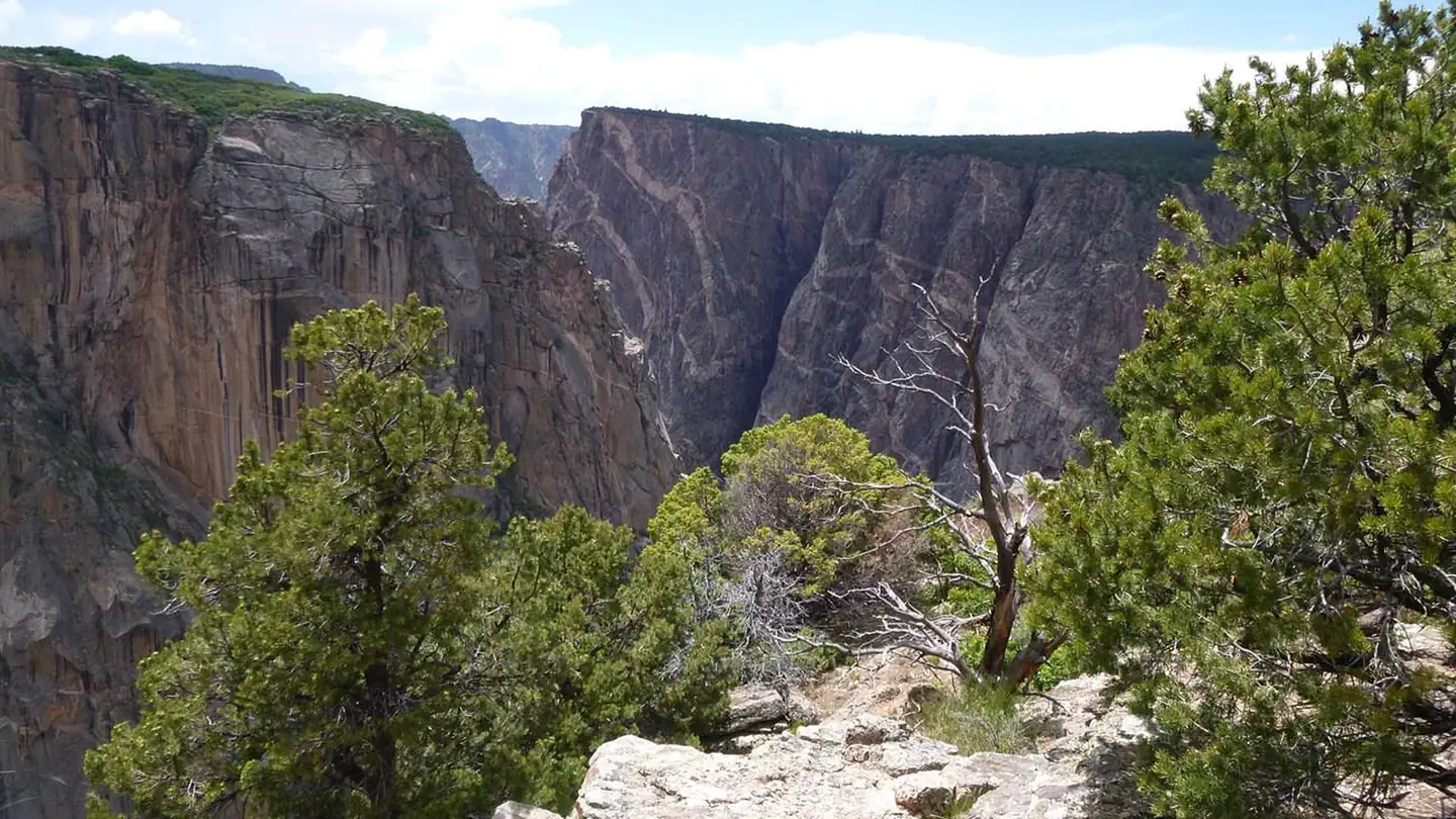 Black Canyon Of The Gunnison North Rim Campground photo