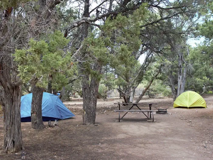 Black Canyon Of The Gunnison North Rim Campground photo 2