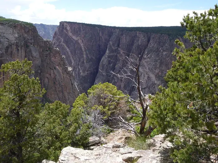 Black Canyon Of The Gunnison North Rim Campground photo 4