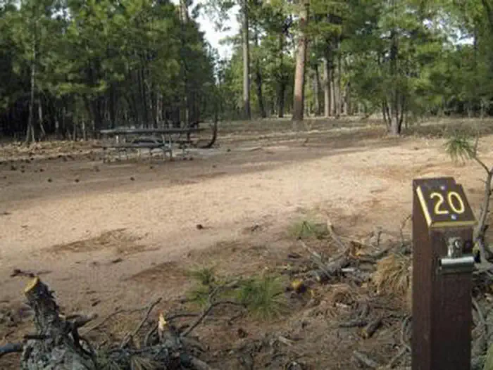Black Canyon Rim Campground (Apache-Sitgreaves National Forest, AZ) photo 4