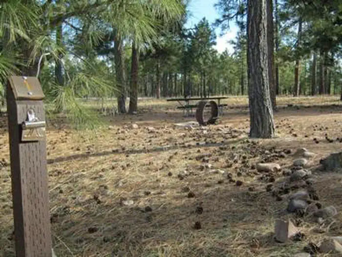 Black Canyon Rim Campground (Apache-Sitgreaves National Forest, AZ) photo 5