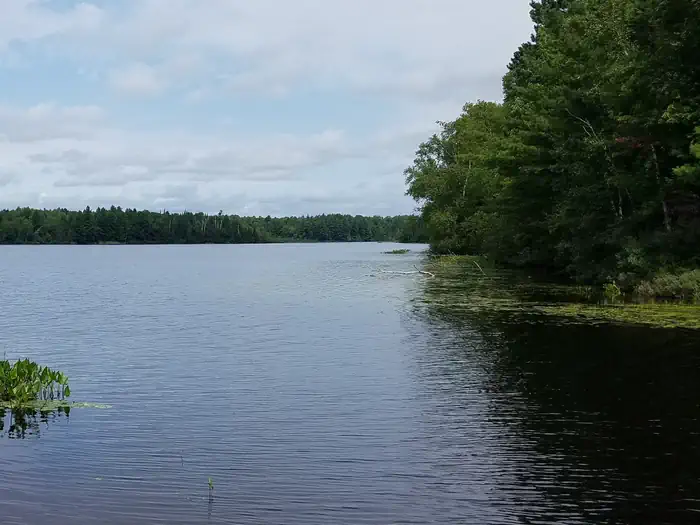 BLACK LAKE photo 2