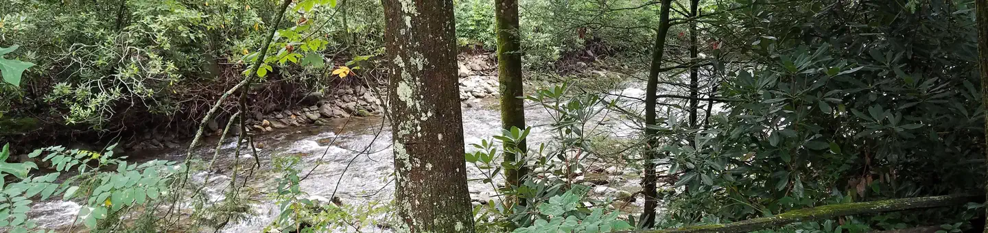 BLACK MOUNTAIN CAMPGROUND photo