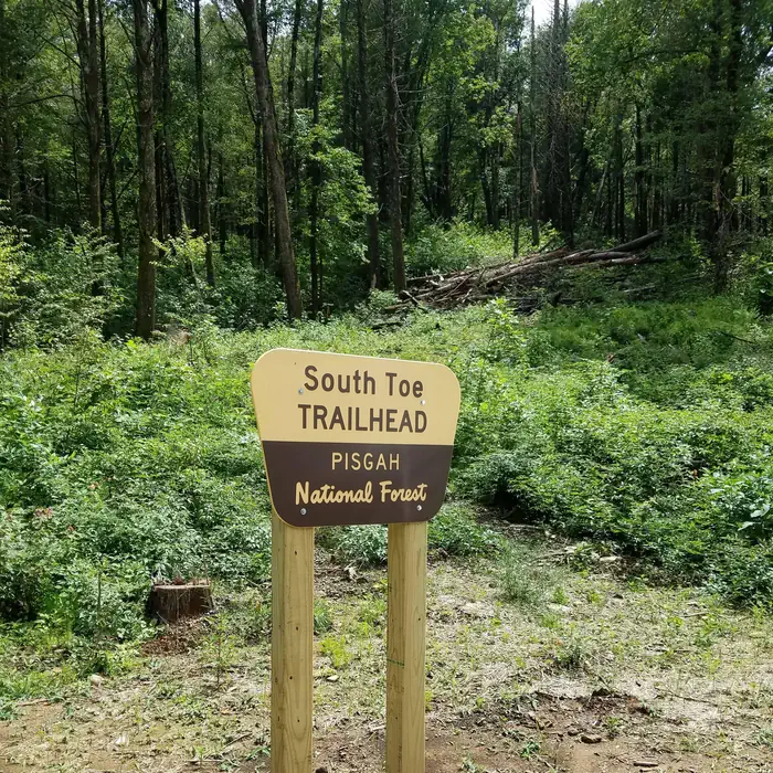 BLACK MOUNTAIN CAMPGROUND photo 2
