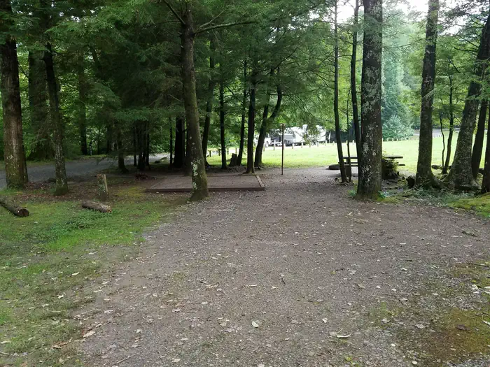 BLACK MOUNTAIN CAMPGROUND photo 5