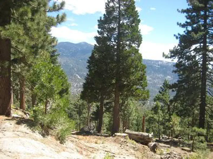 BLACK MOUNTAIN (SAN BERNARDINO) photo 4