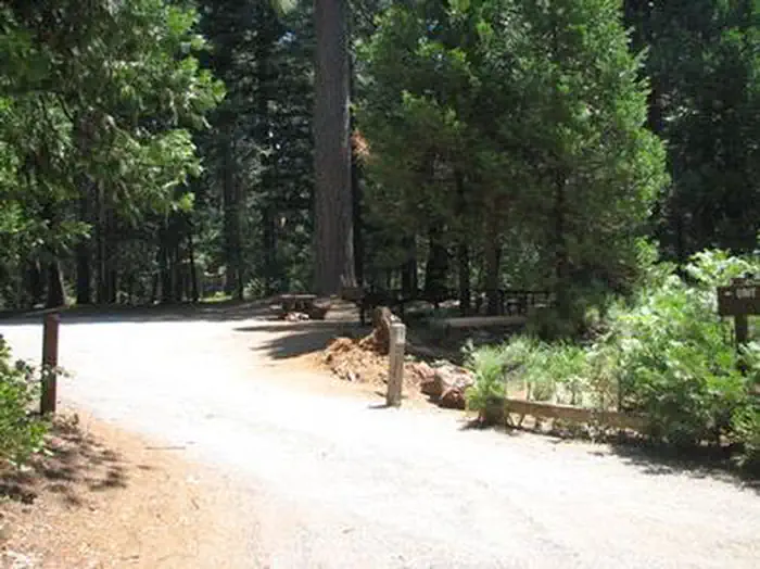 BLACK OAK photo 3