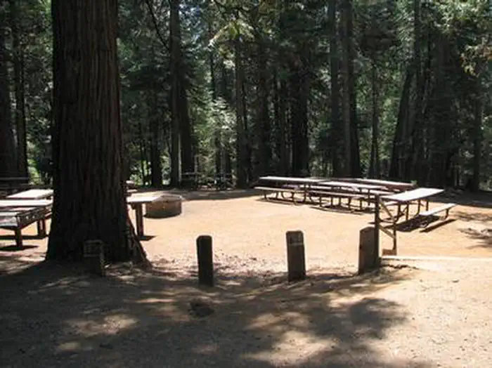BLACK OAK photo 4