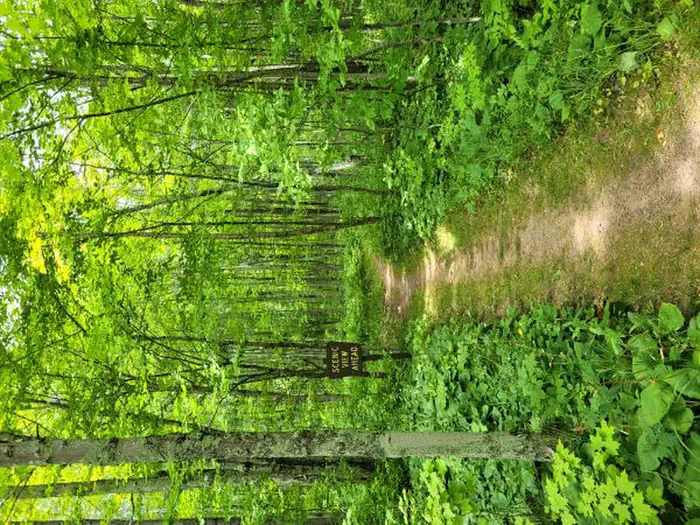 BLACK RIVER HARBOR CAMPGROUND photo 2