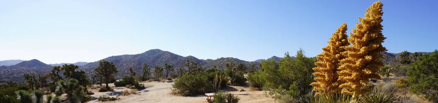 BLACK ROCK CAMPGROUND photo
