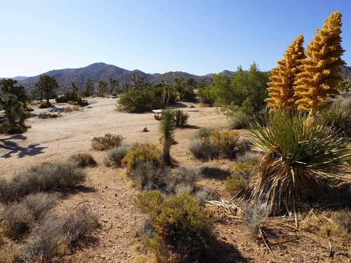 BLACK ROCK CAMPGROUND photo 3