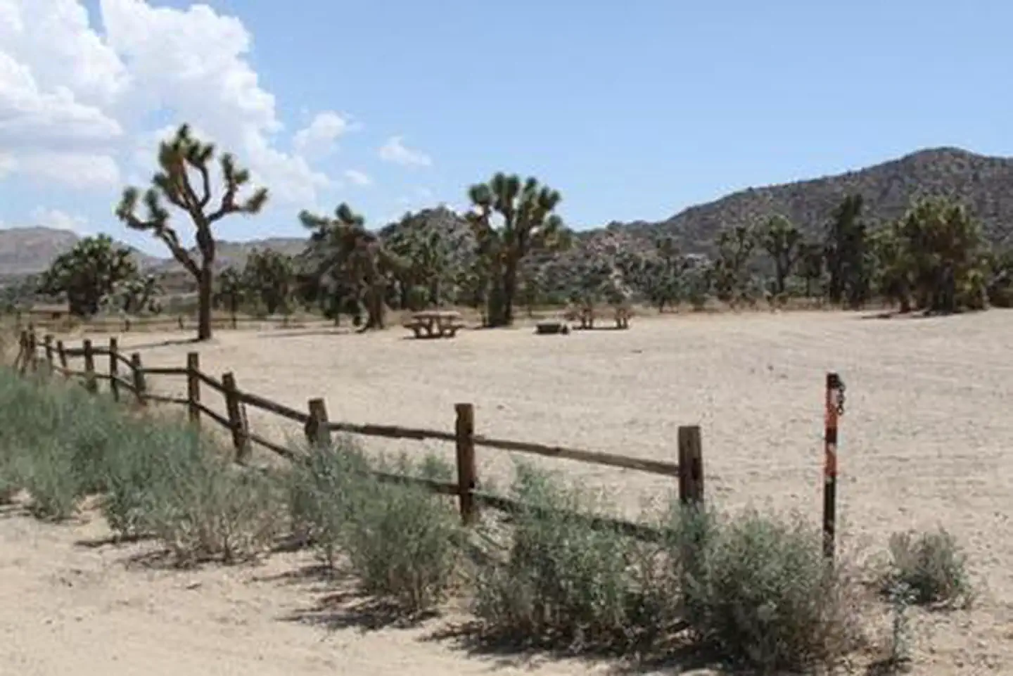 BLACK ROCK EQUESTRIAN CAMPGROUND photo 2