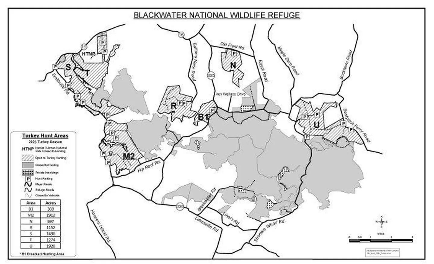 Blackwater National Wildlife Refuge Turkey Hunt Lottery and Permits photo 2
