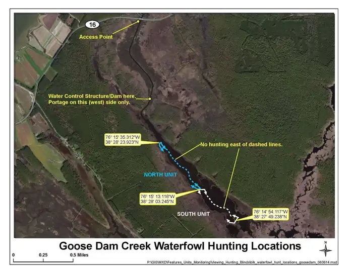 Blackwater National Wildlife Refuge Waterfowl Hunt Permits photo 2