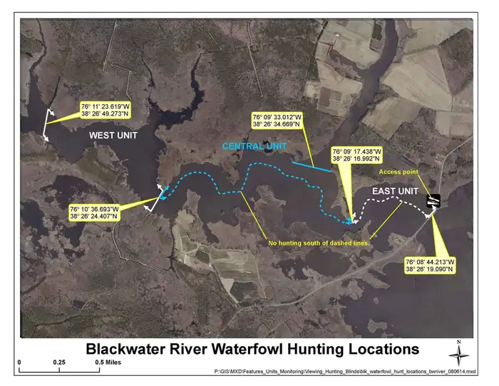 Blackwater National Wildlife Refuge Waterfowl Hunt Permits photo 4