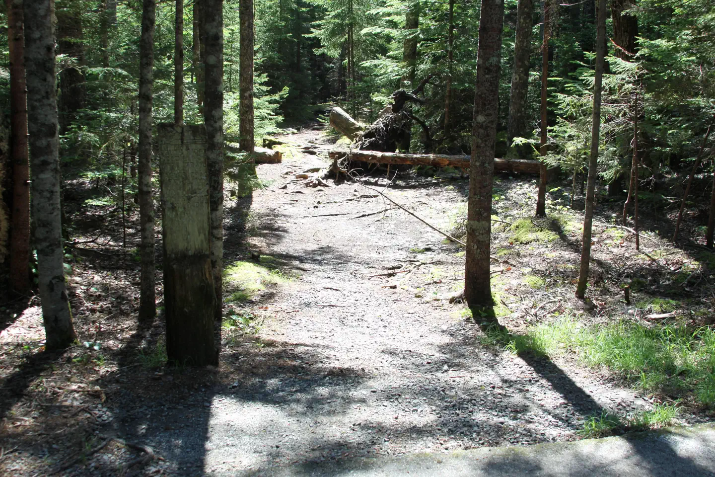 BLACKWOODS CAMPGROUND photo 2