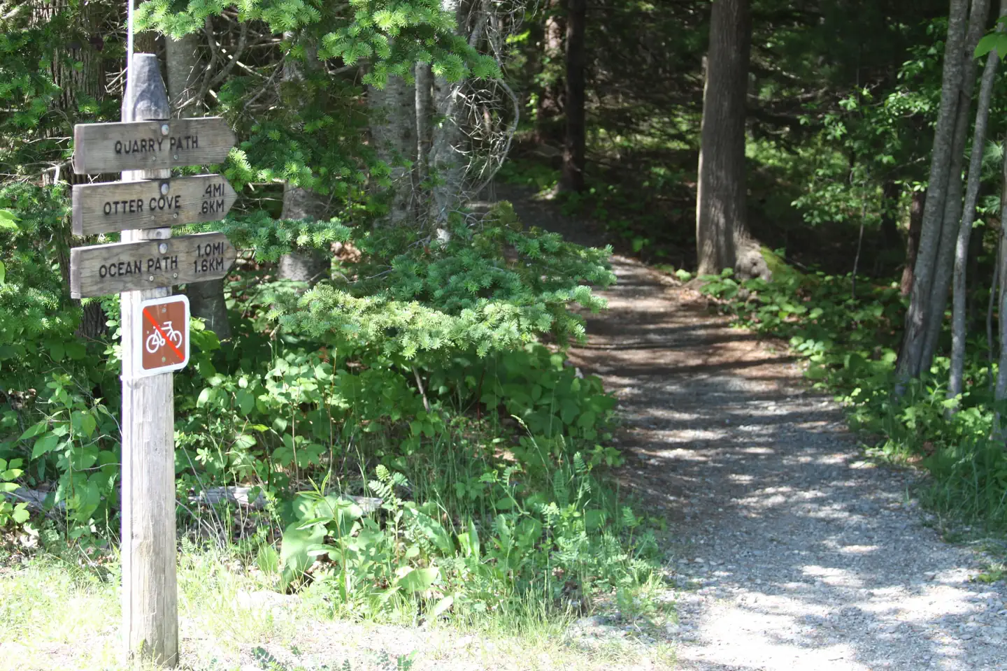 BLACKWOODS CAMPGROUND photo 5