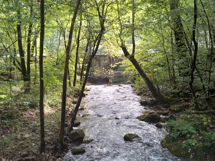BLANCHARD SPRINGS CAVERNS photo 5