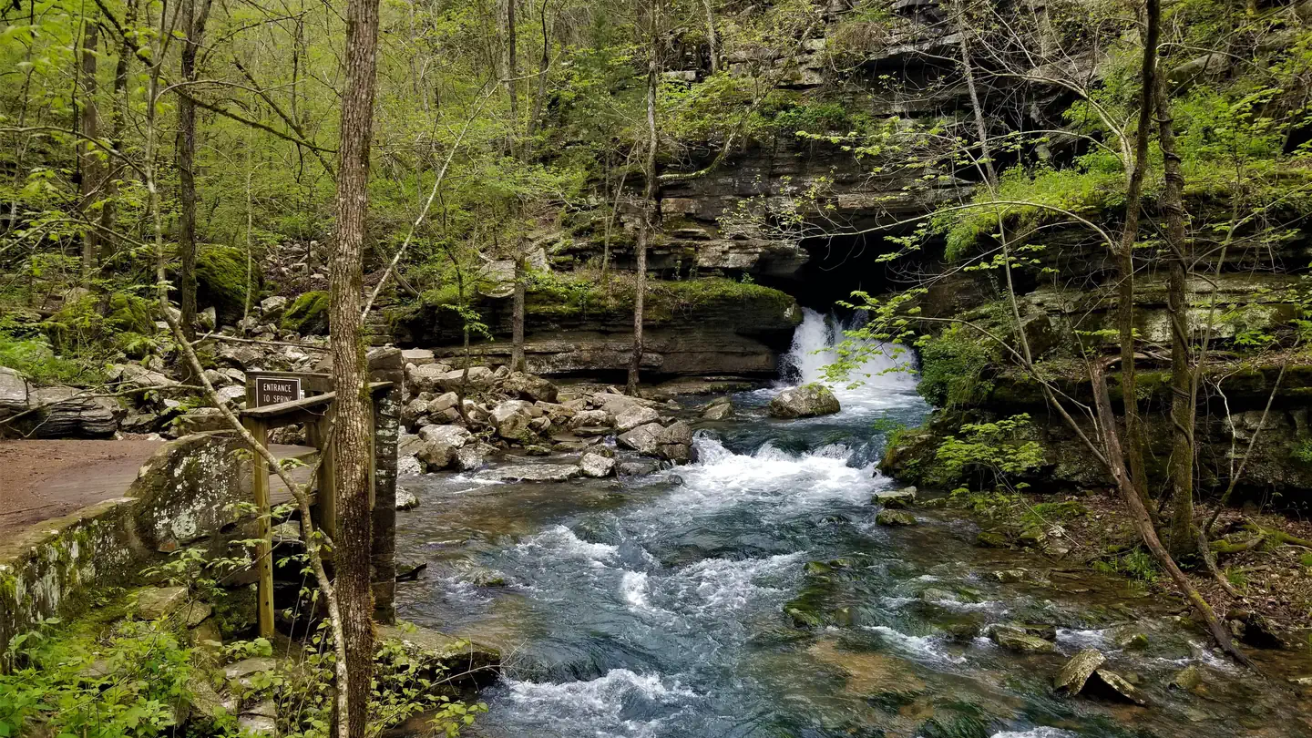 BLANCHARD SPRINGS RECREATION AREA photo